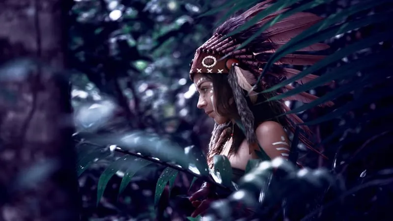 Native Americans Theme Preview Image