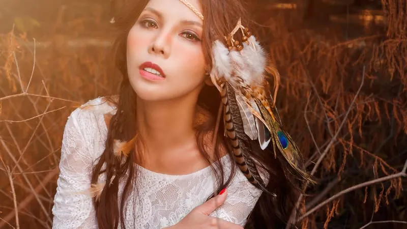 Native Americans Theme Preview Image