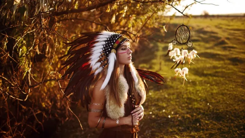 Native Americans Theme Preview Image