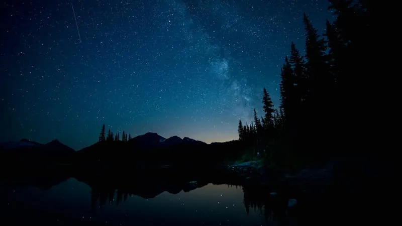 Night Theme Preview Image