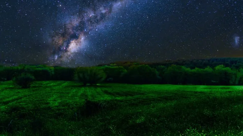 Night Theme Preview Image