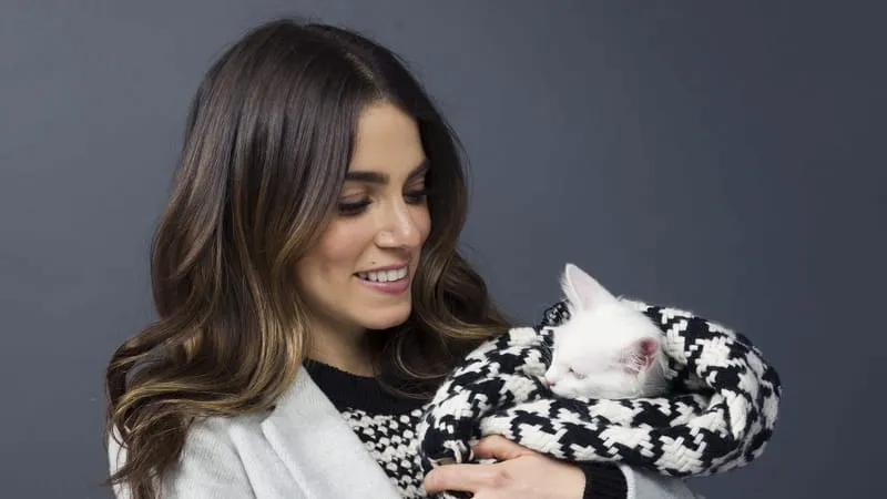 Nikki Reed Theme Preview Image