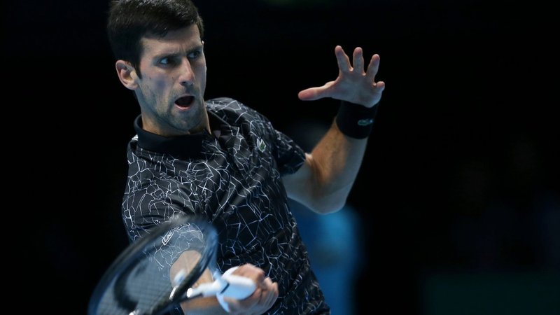 Novak Djokovic Theme Preview Image