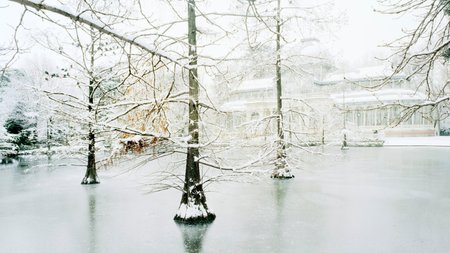Palacio De Cristal Theme Preview Image