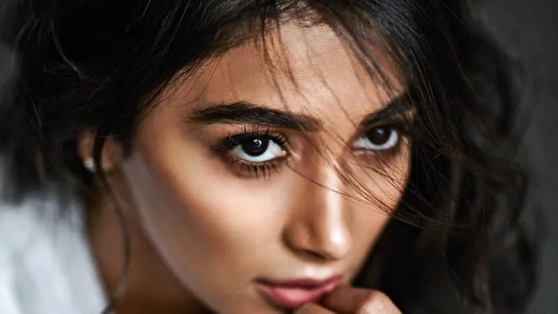 Pooja Hegde Theme Preview Image