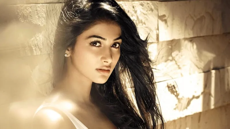 Pooja Hegde Theme Preview Image