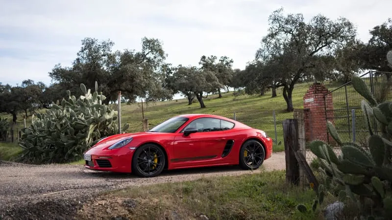 Porsche 718 Cayman Theme Preview Image