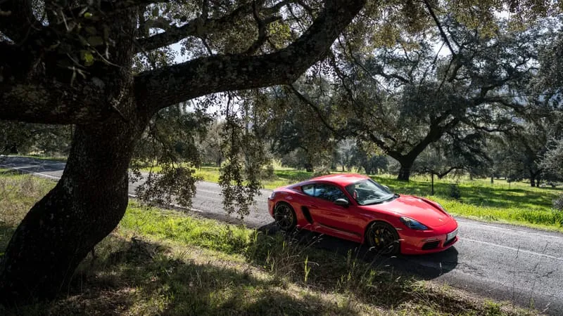 Porsche 718 Cayman Theme Preview Image