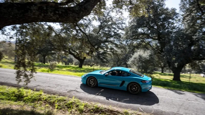 Porsche 718 Cayman Theme Preview Image
