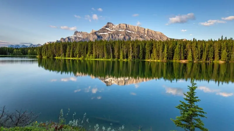 Reflections Theme Preview Image