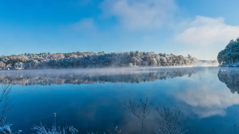 Reflections Theme Preview Image