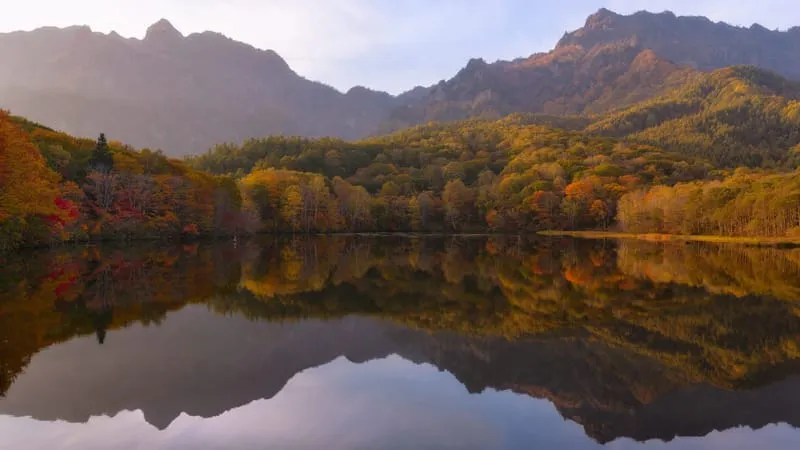 Reflections Theme Preview Image