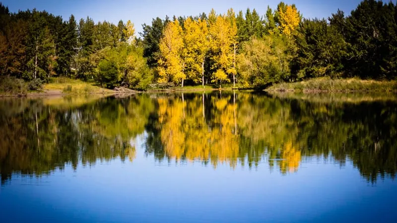 Reflections Theme Preview Image