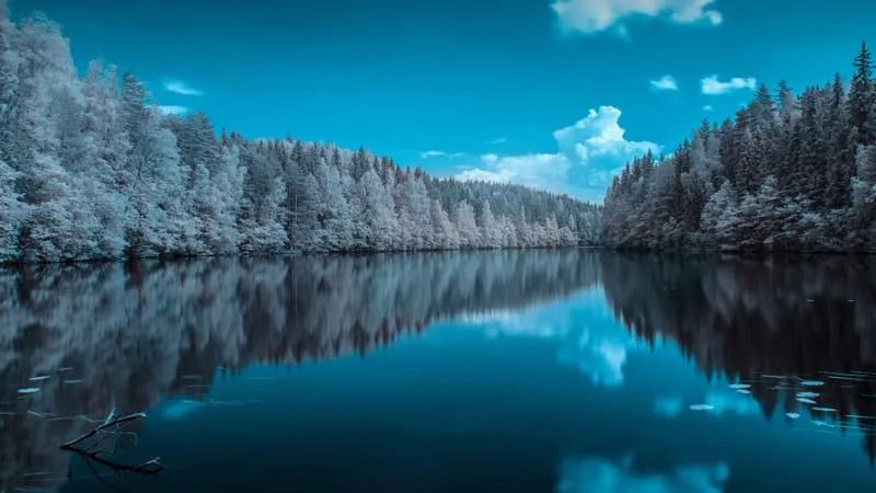 Reflections Theme Preview Image