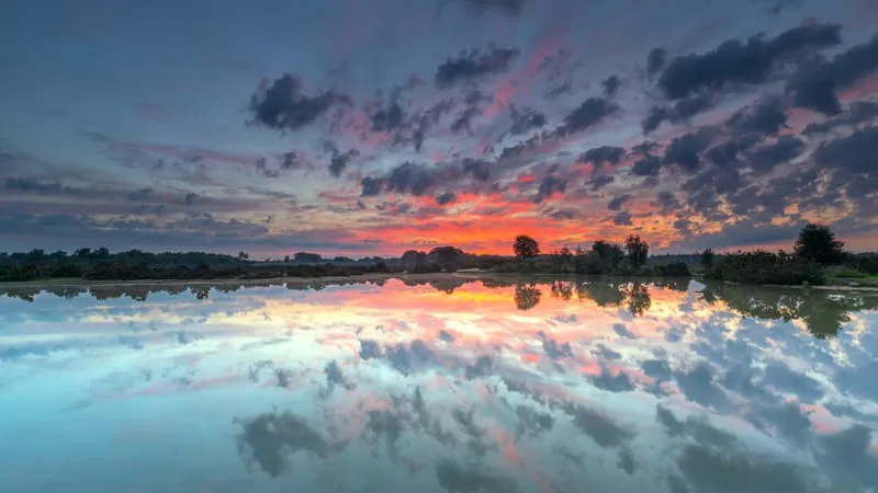 Reflections Theme Preview Image