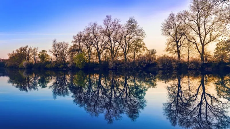 Reflections Theme Preview Image