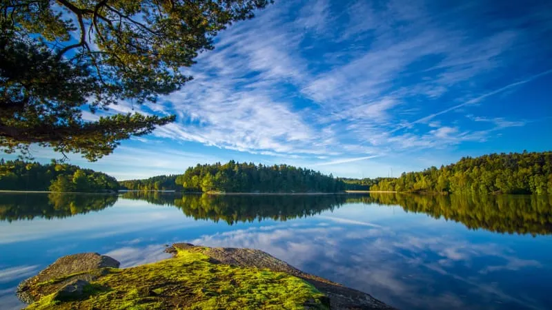 Reflections Theme Preview Image