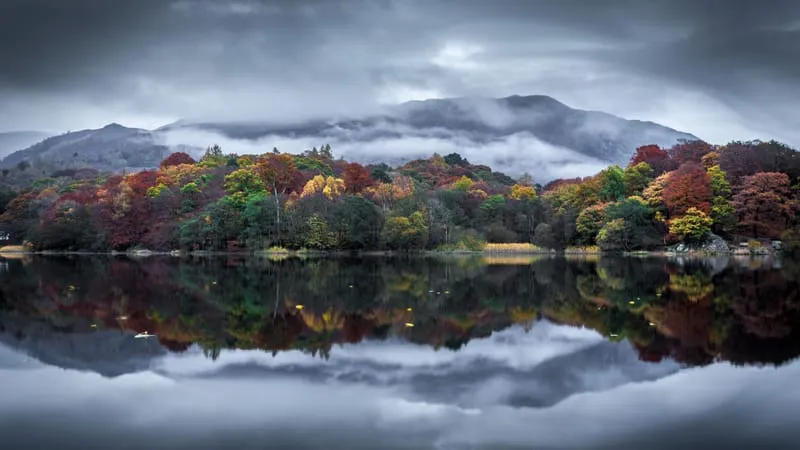 Reflections Theme Preview Image