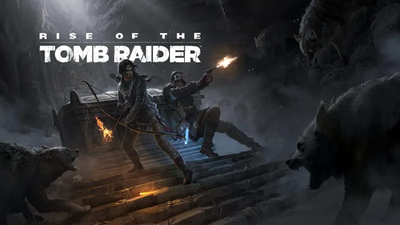 Rise Of The Tomb Raider Theme Preview Image
