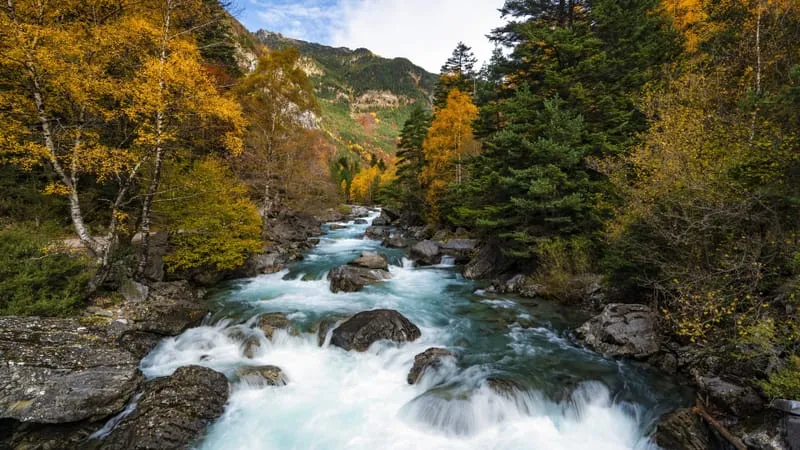 River Theme Preview Image