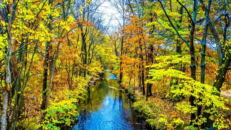 River Theme Preview Image