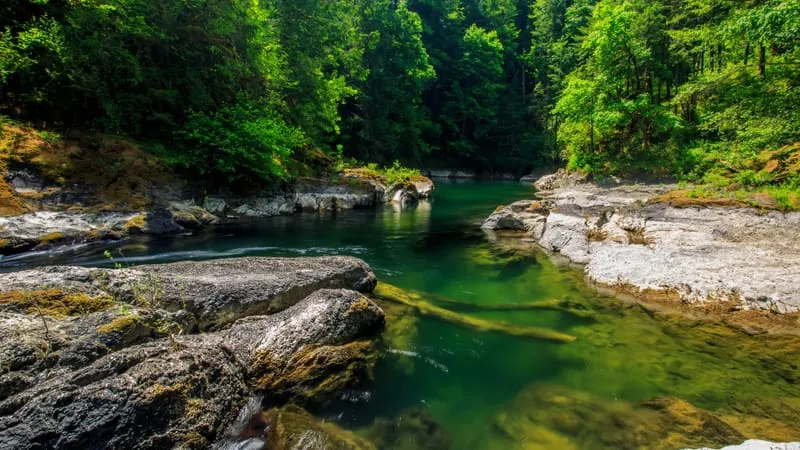 River Theme Preview Image