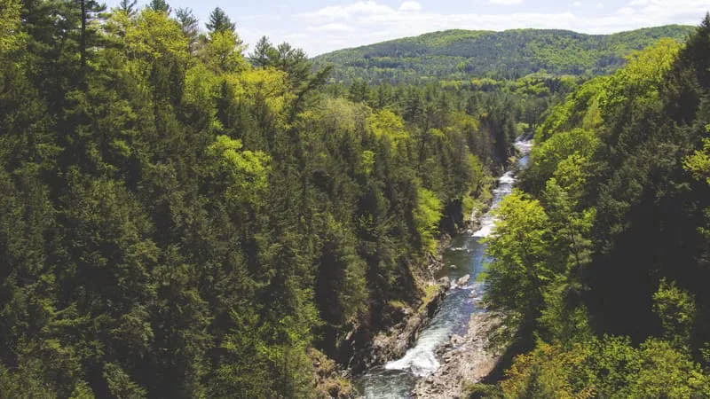 River Theme Preview Image