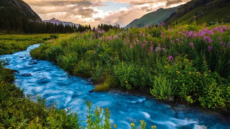 River Theme Preview Image