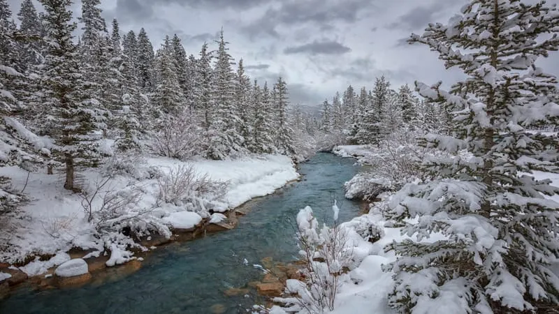 River Theme Preview Image