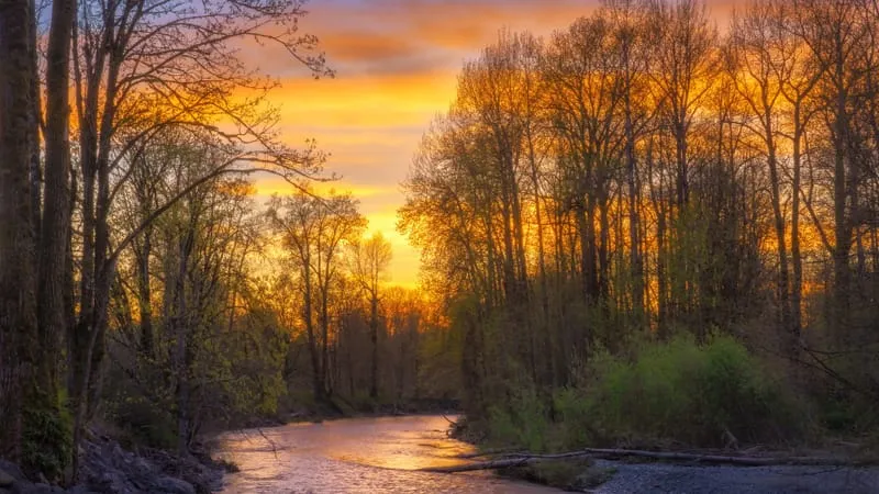 River Theme Preview Image