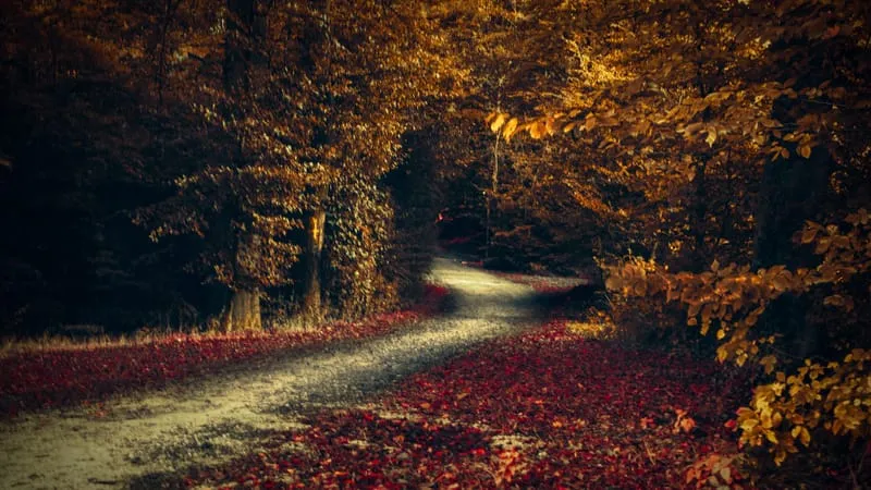 Road Theme Preview Image