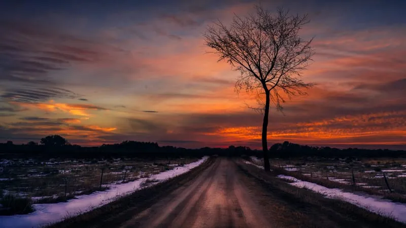 Road Theme Preview Image