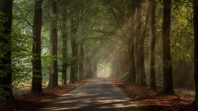 Road Theme Preview Image