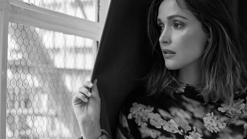 Rose Byrne Theme Preview Image
