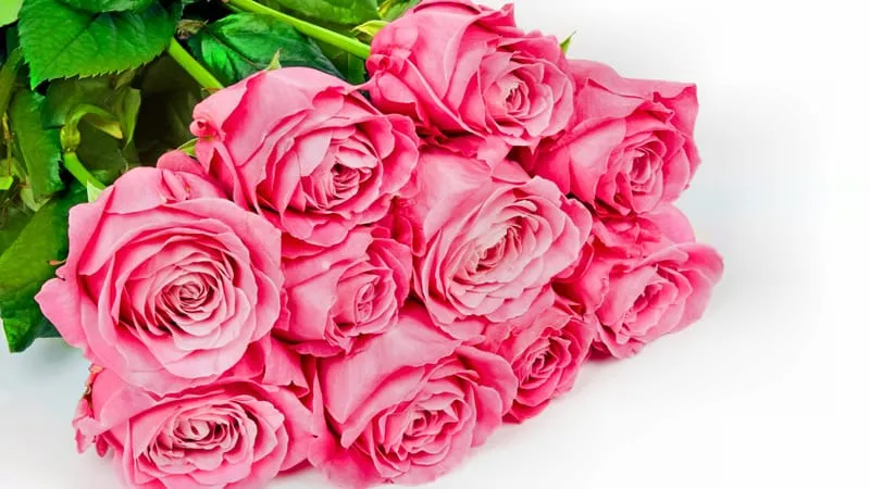 Rose Theme Preview Image