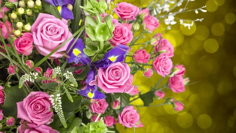 Rose Theme Preview Image