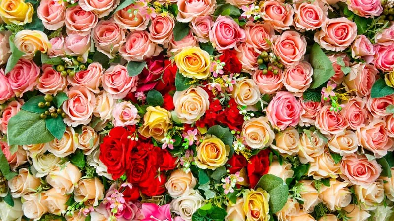 Rose Theme Preview Image