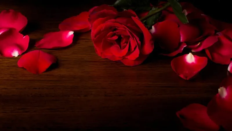 Rose Theme Preview Image