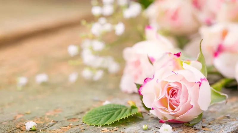 Rose Theme Preview Image