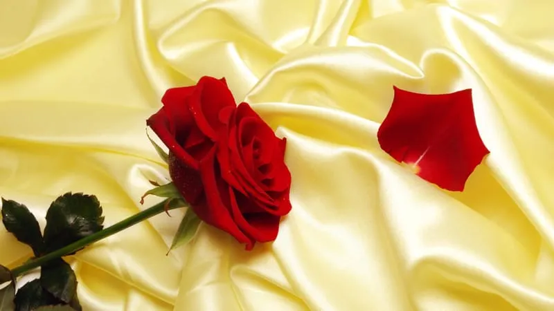 Rose Theme Preview Image