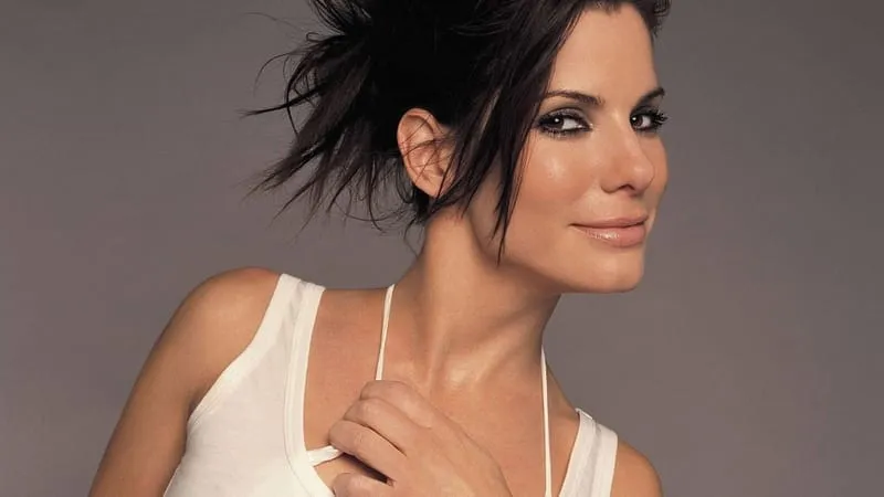 Sandra Bullock Theme Preview Image