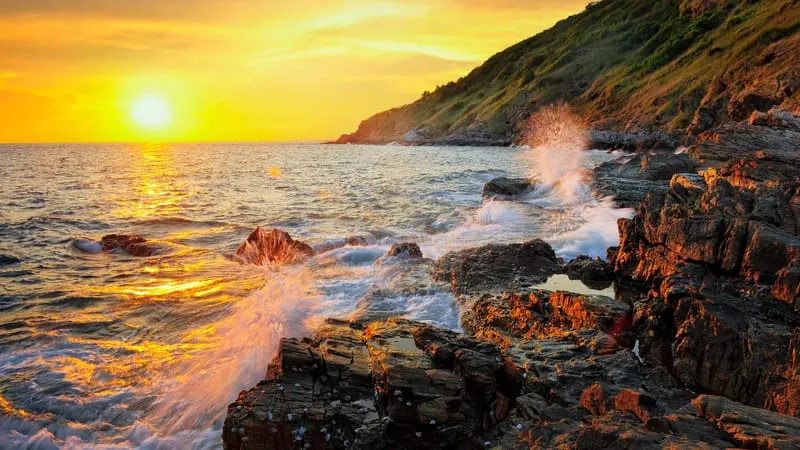 Seashore Theme Preview Image