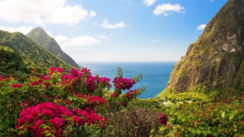 Seashore Theme Preview Image