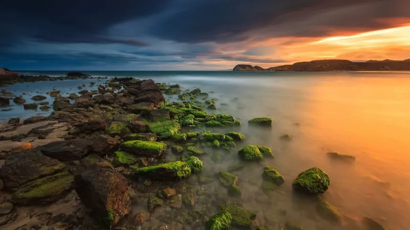 Seashore Theme Preview Image