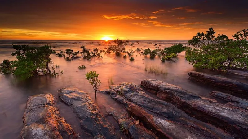 Seashore Theme Preview Image