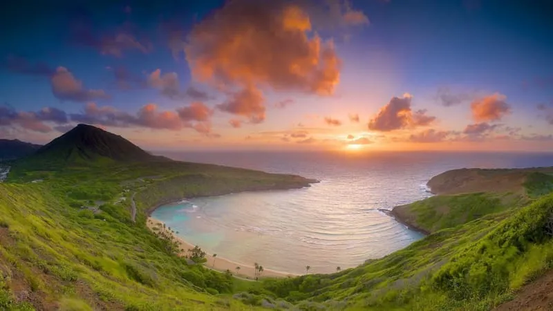 Seashore Theme Preview Image