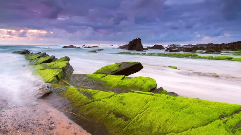 Seashore Theme Preview Image