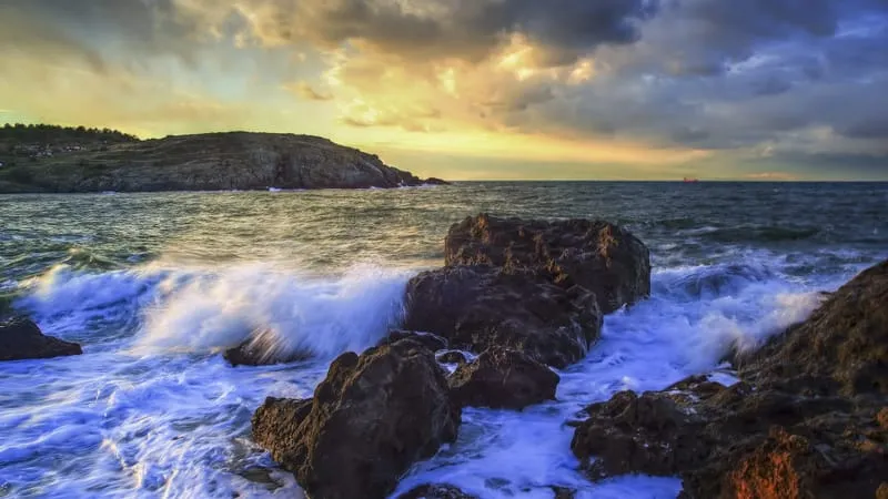 Seashore Theme Preview Image