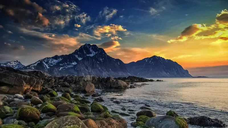 Seashore Theme Preview Image