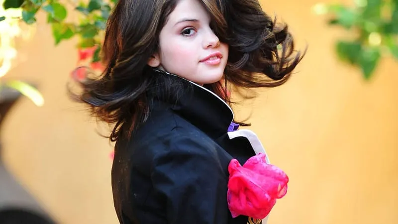 Selena Gomez Theme Preview Image